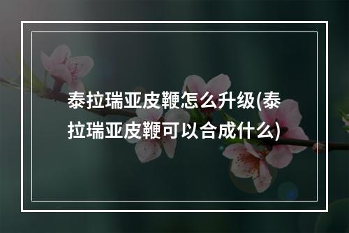 泰拉瑞亚皮鞭怎么升级(泰拉瑞亚皮鞭可以合成什么)