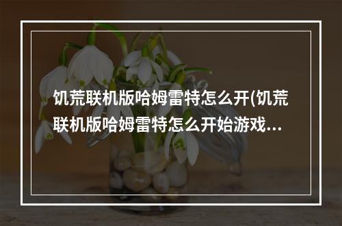 饥荒联机版哈姆雷特怎么开(饥荒联机版哈姆雷特怎么开始游戏)