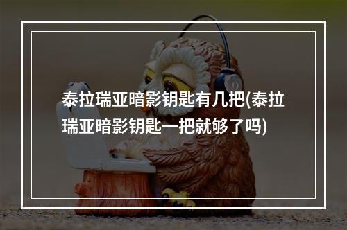 泰拉瑞亚暗影钥匙有几把(泰拉瑞亚暗影钥匙一把就够了吗)