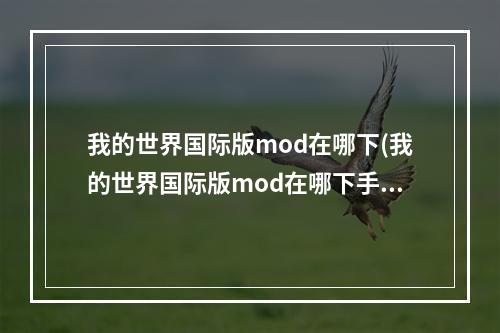 我的世界国际版mod在哪下(我的世界国际版mod在哪下手机)