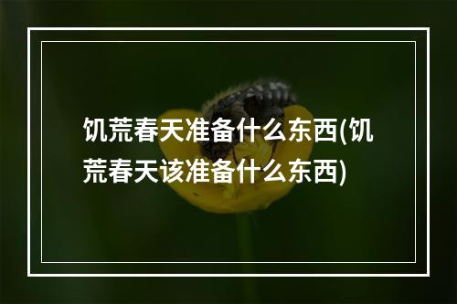 饥荒春天准备什么东西(饥荒春天该准备什么东西)