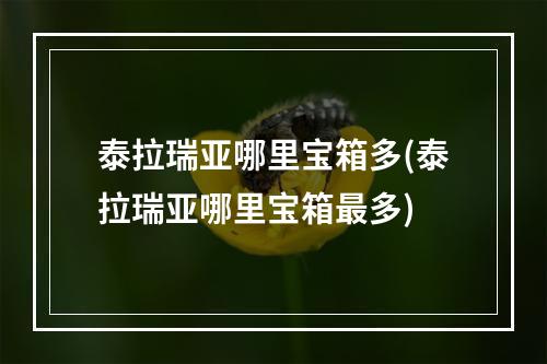 泰拉瑞亚哪里宝箱多(泰拉瑞亚哪里宝箱最多)