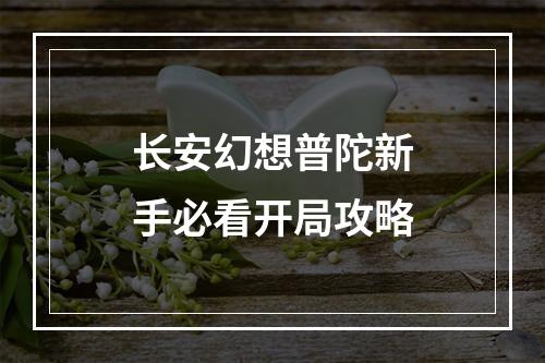 长安幻想普陀新手必看开局攻略