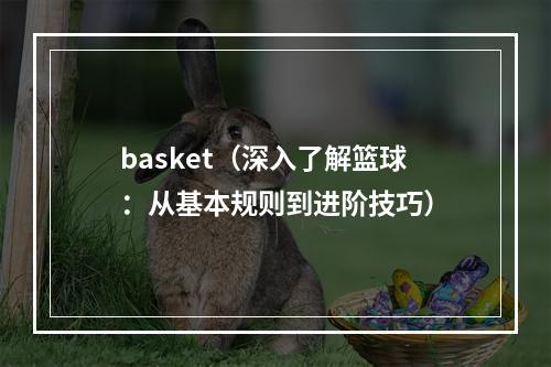 basket（深入了解篮球：从基本规则到进阶技巧）