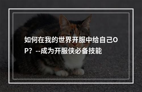 如何在我的世界开服中给自己OP？--成为开服侠必备技能