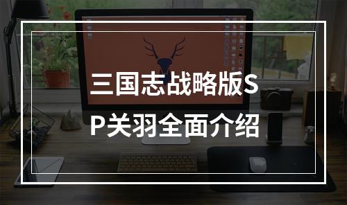 三国志战略版SP关羽全面介绍