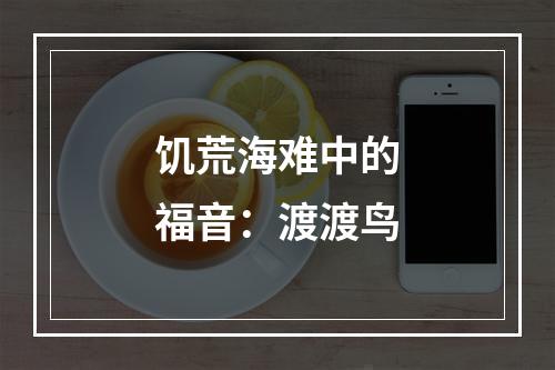 饥荒海难中的福音：渡渡鸟