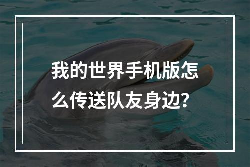 我的世界手机版怎么传送队友身边？