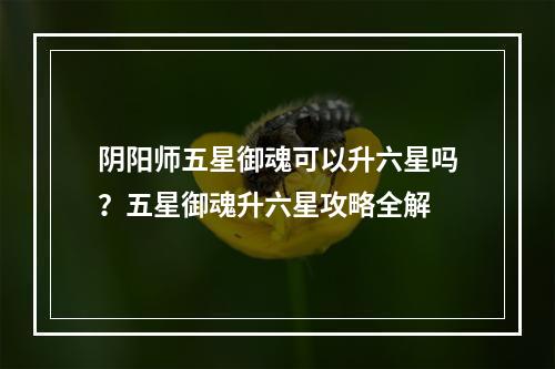 阴阳师五星御魂可以升六星吗？五星御魂升六星攻略全解