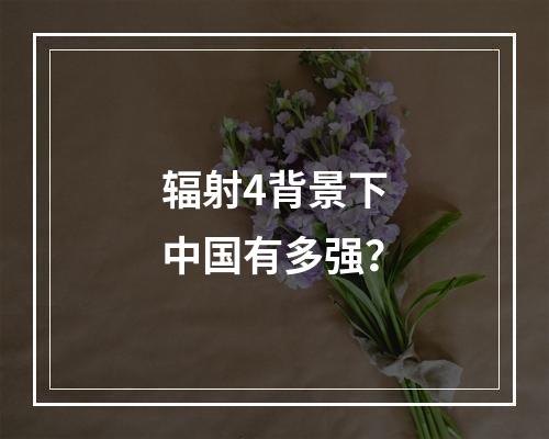 辐射4背景下中国有多强？