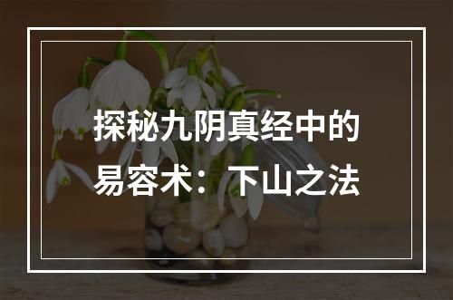 探秘九阴真经中的易容术：下山之法