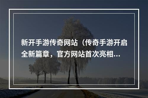 新开手游传奇网站（传奇手游开启全新篇章，官方网站首次亮相）