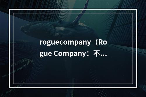 roguecompany（Rogue Company：不断进化的战术射击游戏）