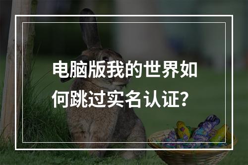 电脑版我的世界如何跳过实名认证？