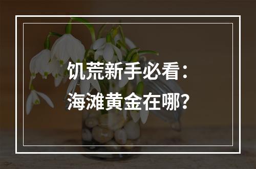 饥荒新手必看：海滩黄金在哪？