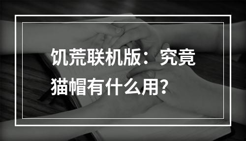 饥荒联机版：究竟猫帽有什么用？