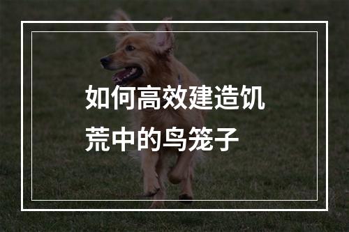 如何高效建造饥荒中的鸟笼子