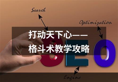 打动天下心——格斗术教学攻略