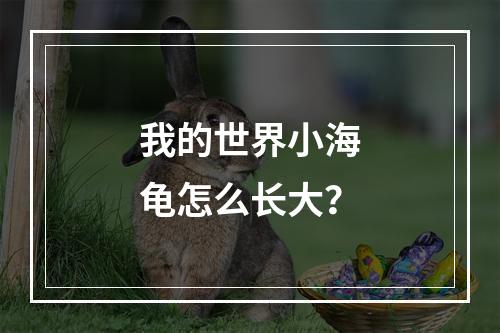 我的世界小海龟怎么长大？