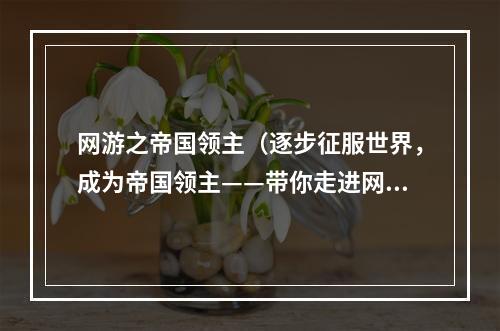 网游之帝国领主（逐步征服世界，成为帝国领主——带你走进网游之帝国领主）