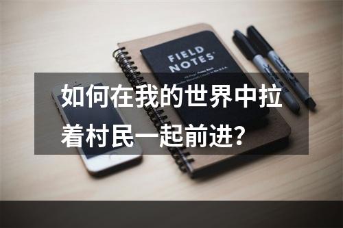 如何在我的世界中拉着村民一起前进？