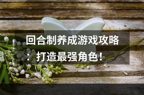 回合制养成游戏攻略：打造最强角色！