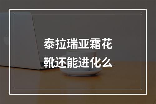 泰拉瑞亚霜花靴还能进化么