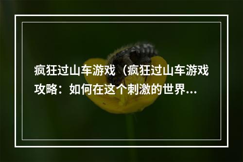 疯狂过山车游戏（疯狂过山车游戏攻略：如何在这个刺激的世界里取得优势？）