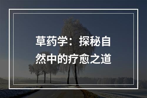 草药学：探秘自然中的疗愈之道