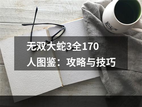 无双大蛇3全170人图鉴：攻略与技巧