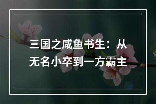 三国之咸鱼书生：从无名小卒到一方霸主