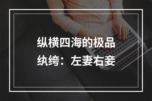 纵横四海的极品纨绔：左妻右妾