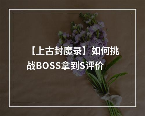 【上古封魔录】如何挑战BOSS拿到S评价