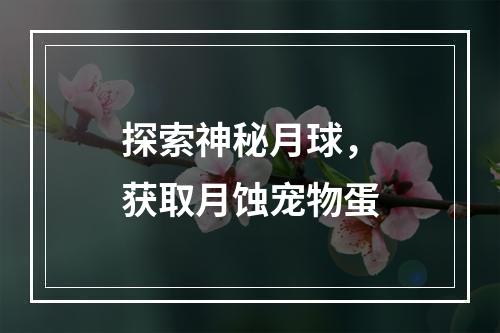 探索神秘月球，获取月蚀宠物蛋