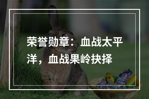 荣誉勋章：血战太平洋，血战果岭抉择