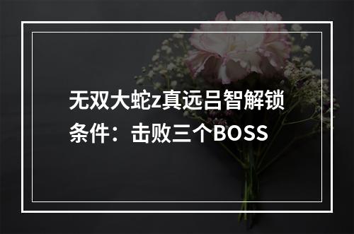 无双大蛇z真远吕智解锁条件：击败三个BOSS