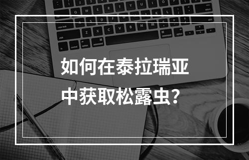 如何在泰拉瑞亚中获取松露虫？