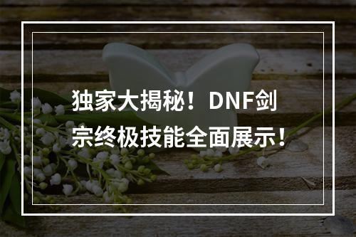 独家大揭秘！DNF剑宗终极技能全面展示！