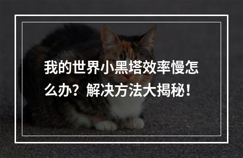 我的世界小黑塔效率慢怎么办？解决方法大揭秘！