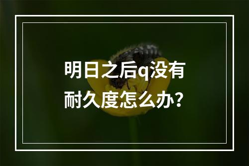 明日之后q没有耐久度怎么办？