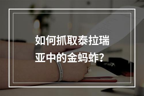 如何抓取泰拉瑞亚中的金蚂蚱？