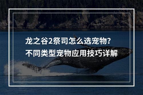 龙之谷2祭司怎么选宠物？不同类型宠物应用技巧详解