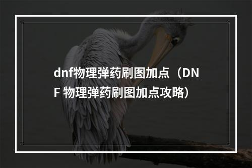 dnf物理弹药刷图加点（DNF 物理弹药刷图加点攻略）