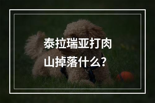 泰拉瑞亚打肉山掉落什么？