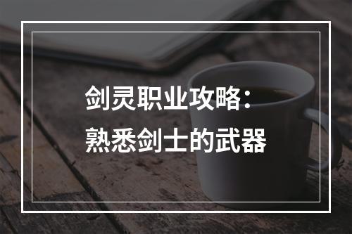 剑灵职业攻略：熟悉剑士的武器