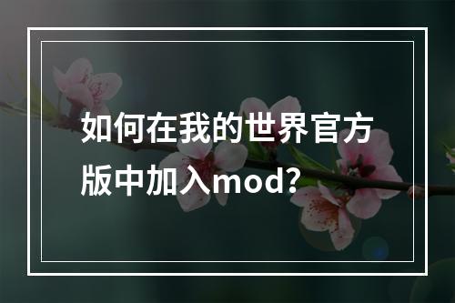 如何在我的世界官方版中加入mod？