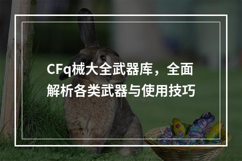 CFq械大全武器库，全面解析各类武器与使用技巧