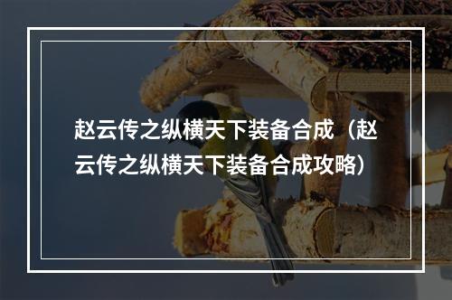 赵云传之纵横天下装备合成（赵云传之纵横天下装备合成攻略）