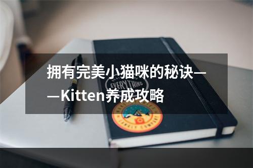 拥有完美小猫咪的秘诀——Kitten养成攻略