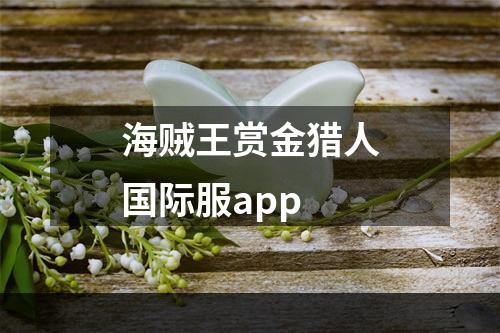 海贼王赏金猎人国际服app